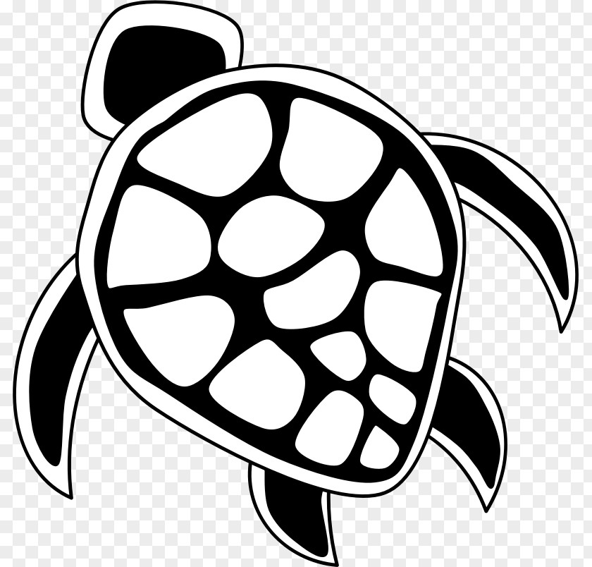 Tortoide Hawaii Sea Turtle Clip Art PNG
