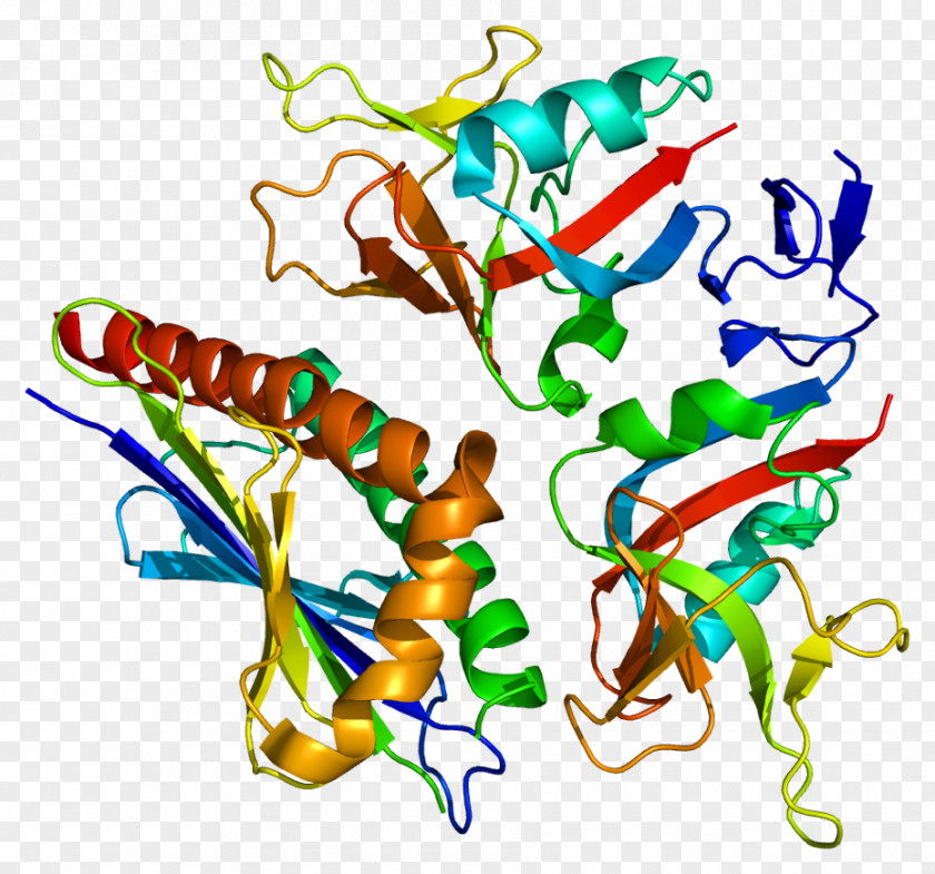 ULBP3 UL16 Binding Protein 3 MHC Class I Gene PNG