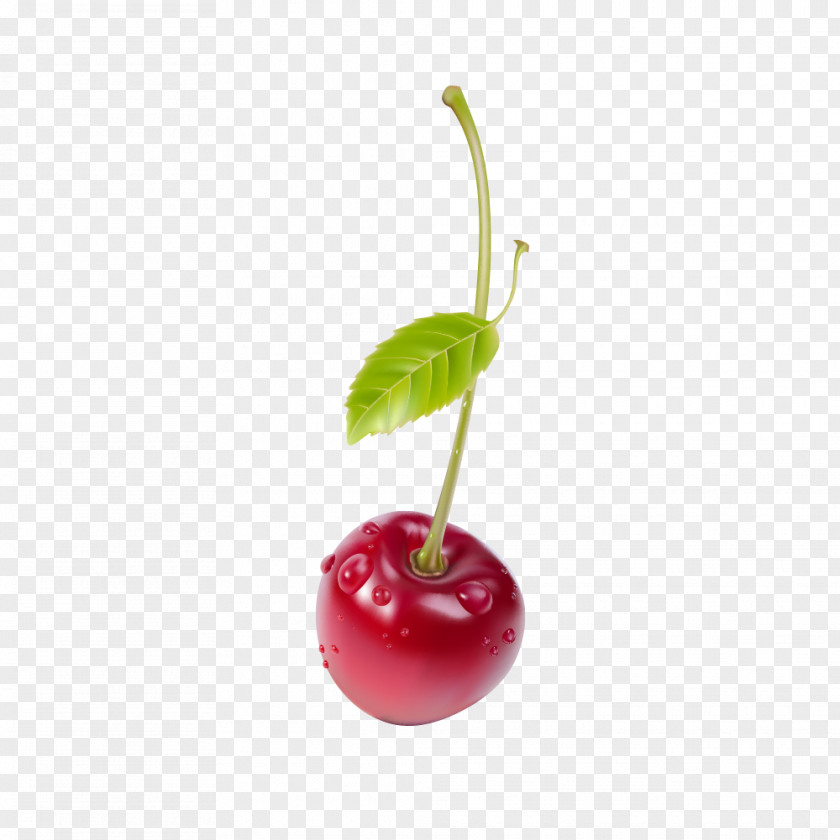 Cherry Juice Fruit Salad PNG