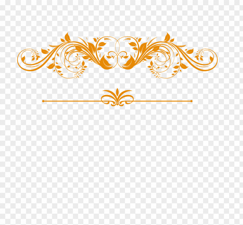 Decorative Elements,frame,lace,Various Types Of Lace Motif PNG