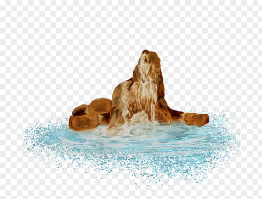 Dog Water Fur Snout Canidae PNG