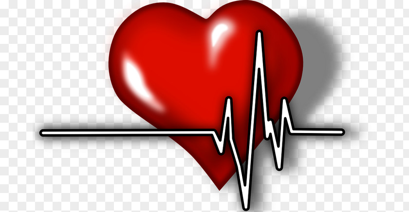 Ecg Heart Electrocardiography Medicine Health Promotion PNG