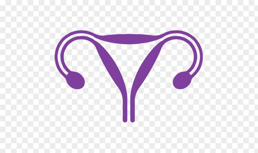 Health Uterus Egg Cell Fertilisation Fallopian Tube Cervix PNG