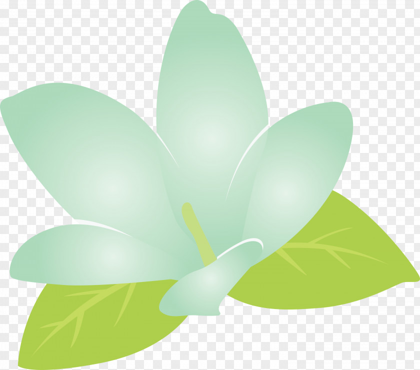 Jasmine Flower PNG