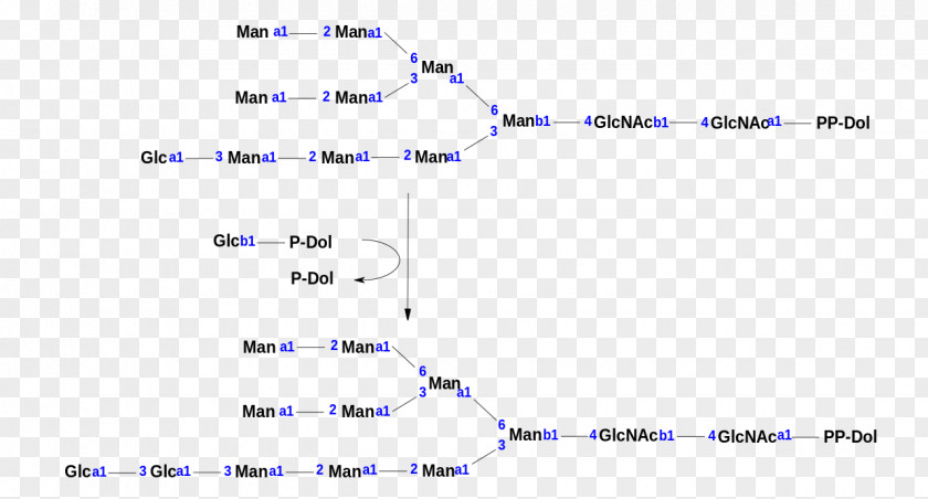 Line Point Angle Diagram PNG