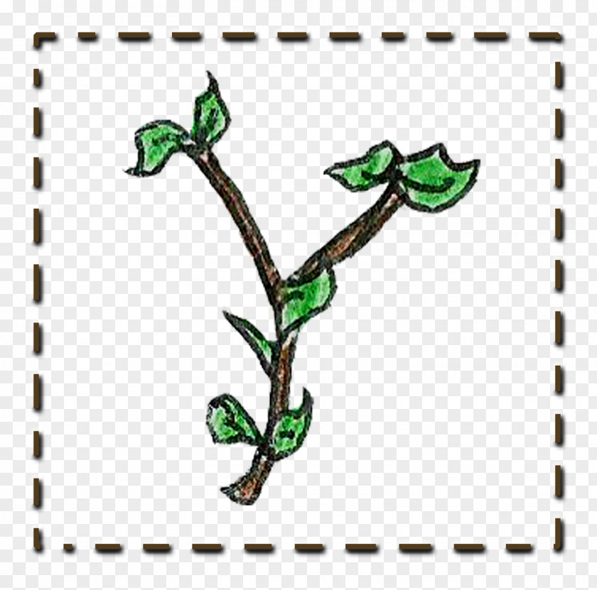 TWIG Twig Plant Stem Tree Leaf PNG