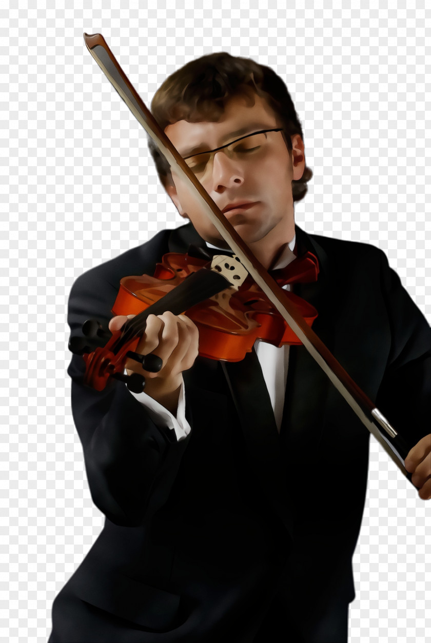 Bowed String Instrument Violin Family Violist Violinist Music Concertmaster PNG