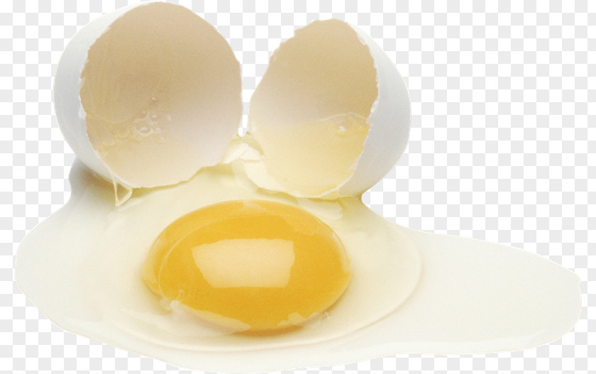 Egg Yolk White PNG
