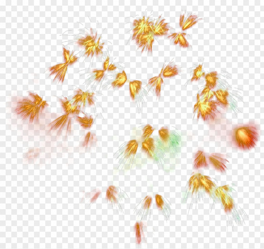 Golden Fireworks Burst Open Petal Flora Yellow Pattern PNG