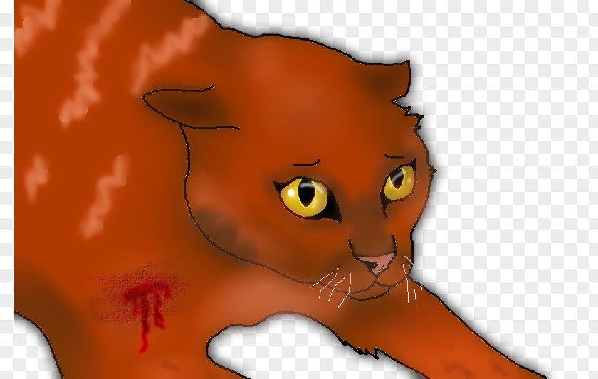 Kitten Whiskers Lion Cat Art PNG
