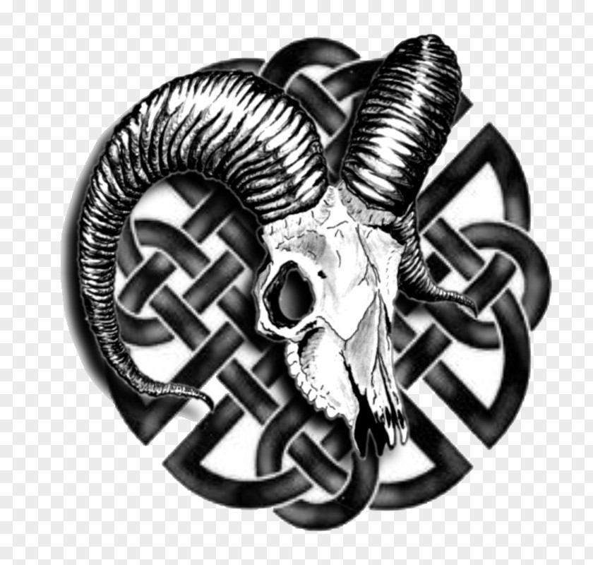 Symbol Celtic Knot Celts PNG