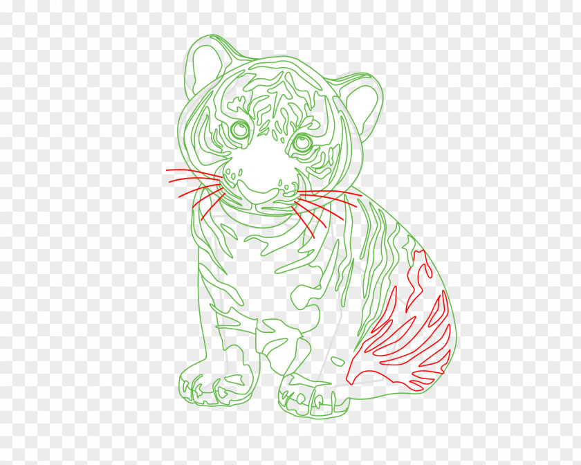 Tiger Whiskers Cat Sketch Illustration PNG