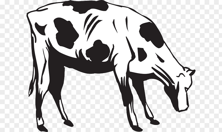 Cattle Feeding Eating Clip Art PNG