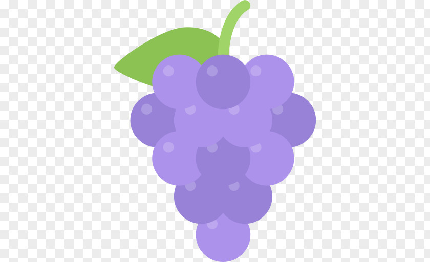 Grape Berry PNG