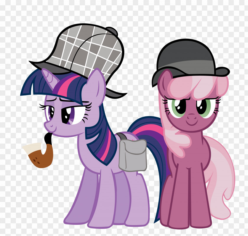 My Little Pony: Friendship Is Magic Fandom Twilight Sparkle Cheerilee Princess Cadance PNG