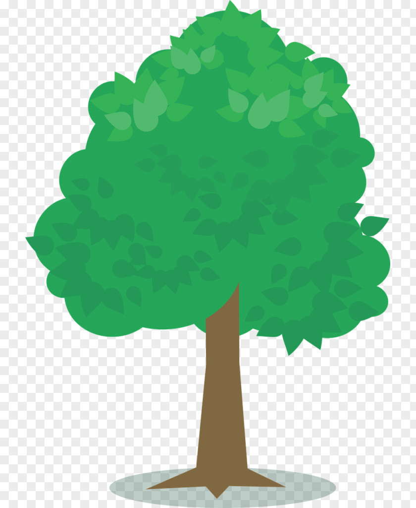 Tree T-shirt Green Plants Image PNG