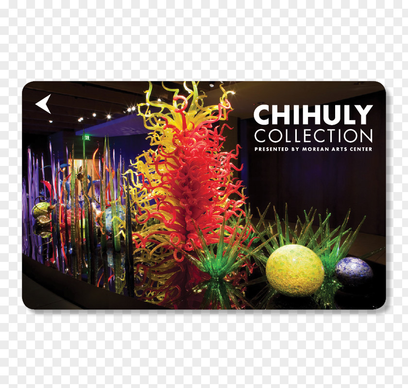 Azimut Hotel Saintpetersburg Morean Arts Center Chihuly Collection Chihuly: Glass Artist PNG