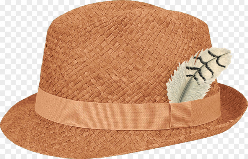 Feather Hat PNG
