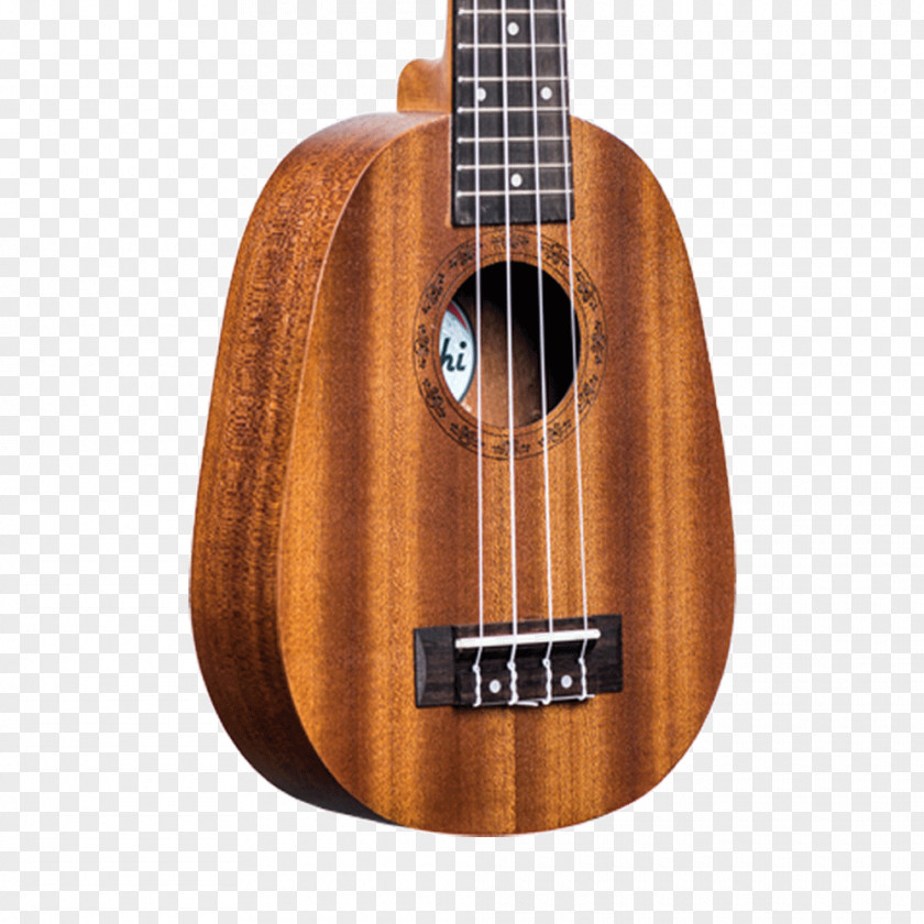 Gig Bag Bass Guitar Acoustic Ukulele Tiple Cuatro PNG