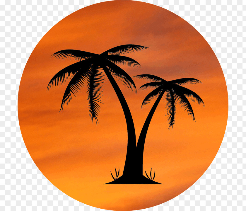 Orange Tree Arecaceae Clip Art PNG