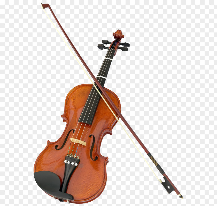 Violin String Instruments Clip Art PNG