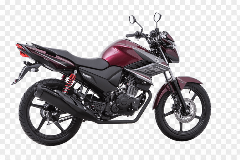 Motorcycle Yamaha Motor Company Fazer YS 150 250 PNG