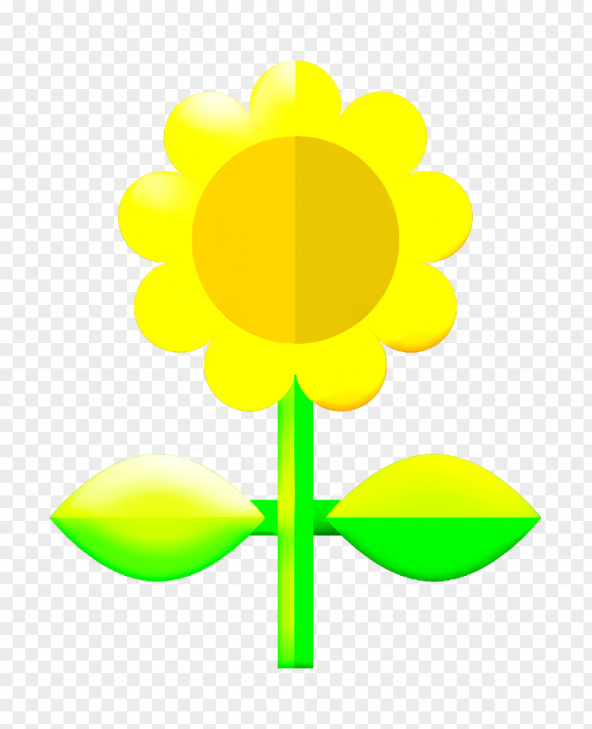 Nature Icon Sunflower Flower PNG