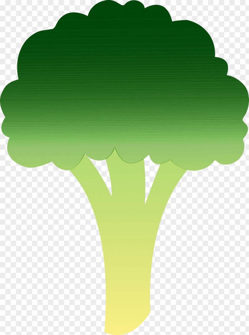 Plant Broccoli Green Leaf Watercolor PNG