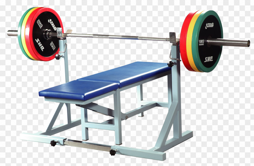 Barbell Bench Fitness Centre Weight Training Exercise Equipment PNG