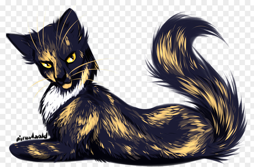 Niaopen Whiskers Kitten Black Cat Warriors PNG