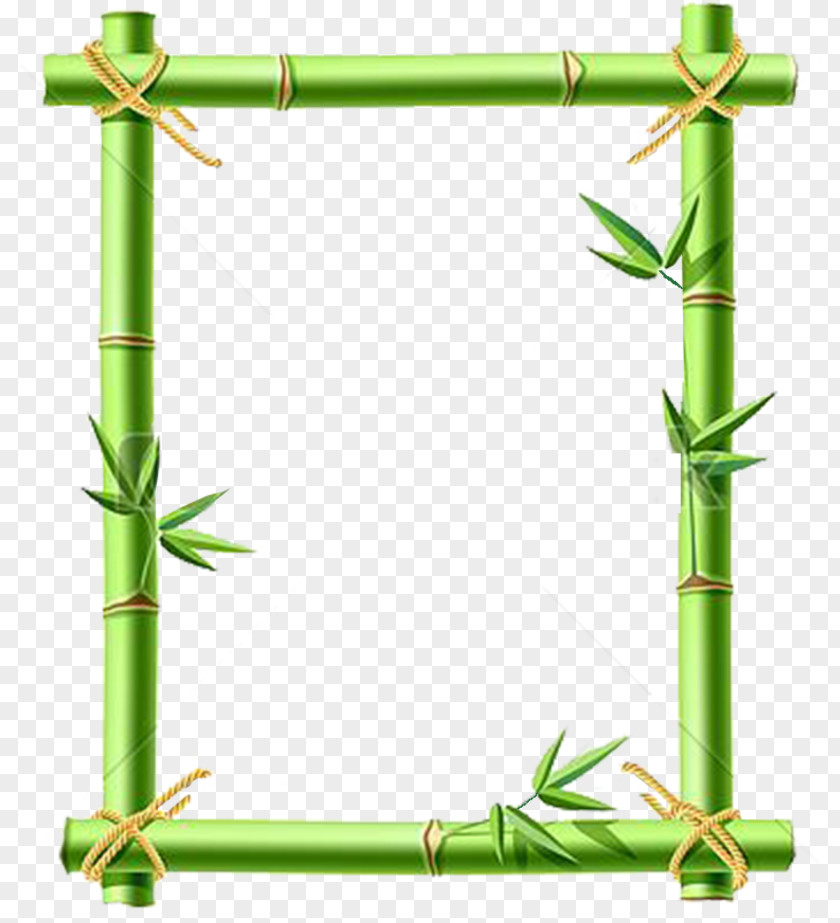 Photograph Bamboo Stock Photography Clip Art PNG