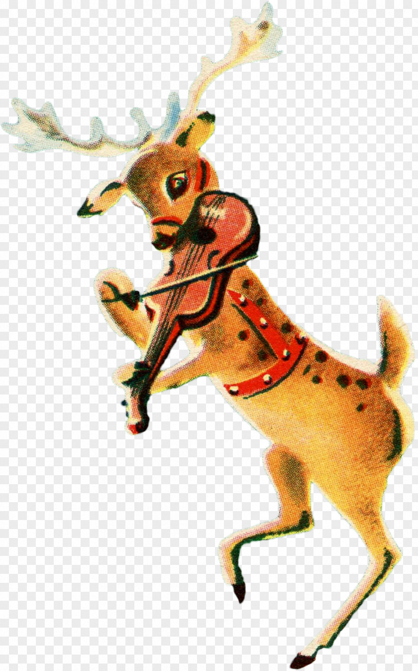 Reindeer Insect Fauna Horn PNG