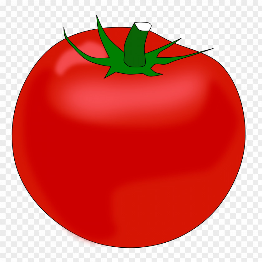 Tomato Hamburger Pizza Vegetable Food PNG