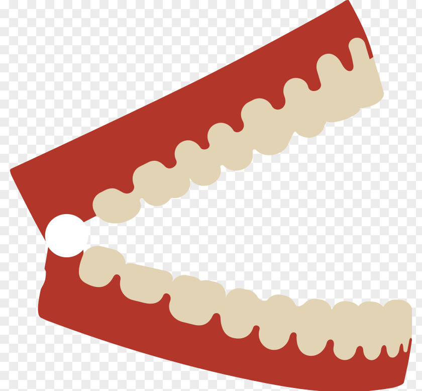 Dental Pictures Art Human Tooth Dentures Clip PNG