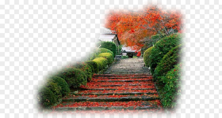 Kyoto Desktop Wallpaper Japanese Garden PNG