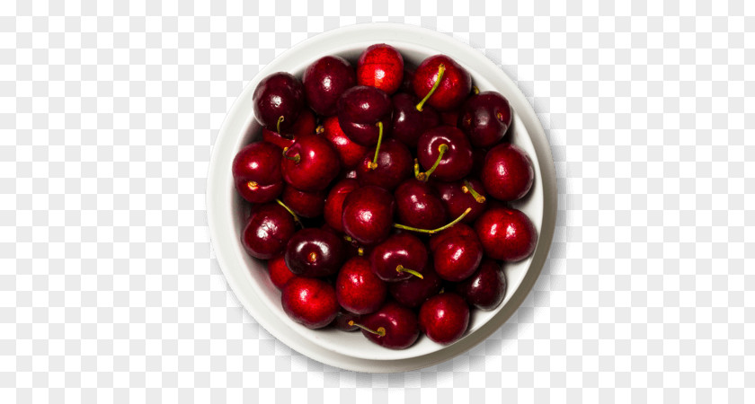 Cherry Botanical Cranberry Lingonberry Pink Peppercorn Superfood PNG