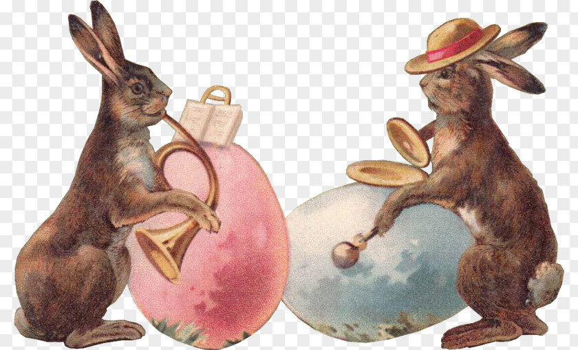 Rabbit Easter Bunny Domestic Victorian Era Hare PNG