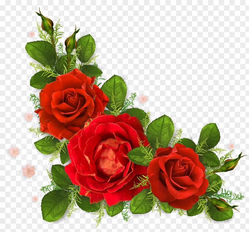 Rose Roses, Girona Flower Clip Art PNG