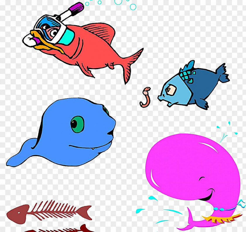 Dolphin Cartoon Poster PNG
