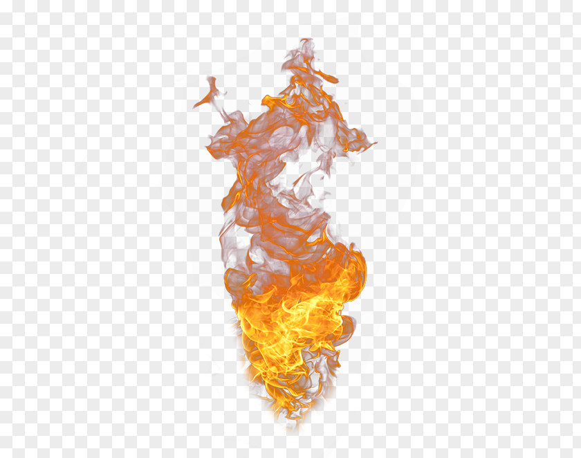 Flame,fire,combustion Flame Fire Combustion PNG