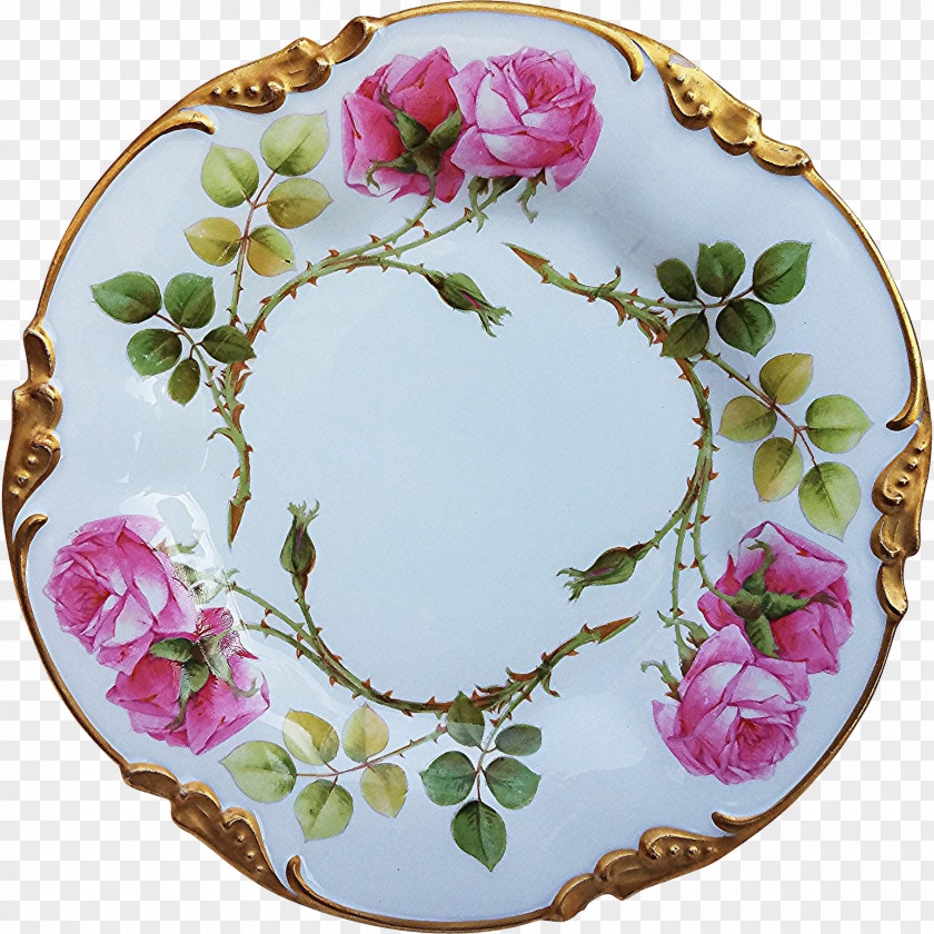 Paint Plate Limoges Porcelain Haviland & Co. Rose PNG