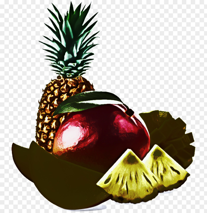 Palm Tree Background PNG