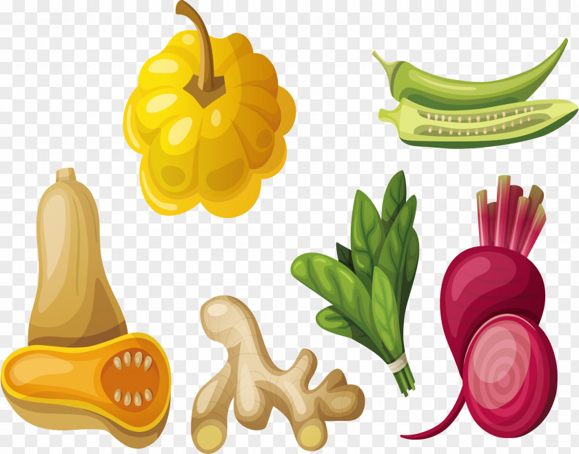 Vegetable Daquan Food Pumpkin Illustration PNG