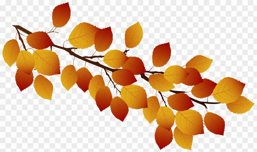 Branch Symbol Vector Graphics Stock Illustration Photography Autumn PNG