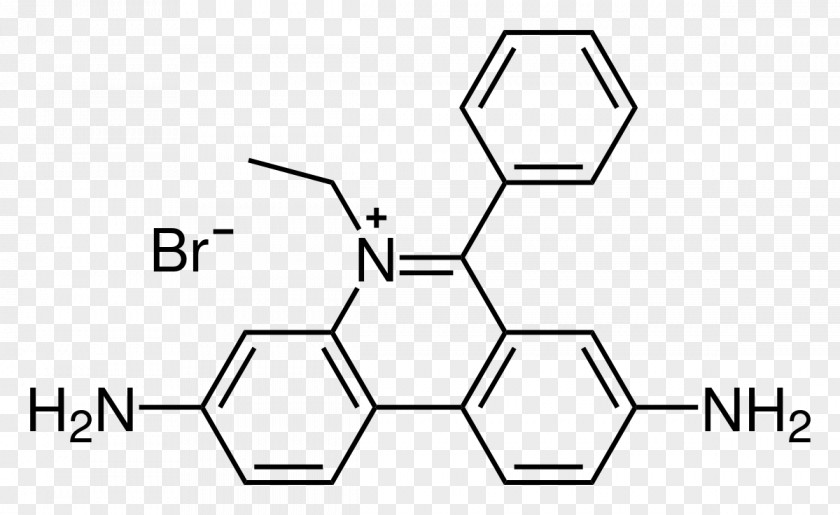 Ethidium Bromide SYBR Green I DNA Gel Electrophoresis Fluorescence PNG