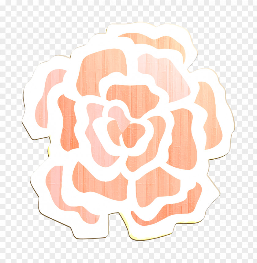 Flowers Icon Flower Carnation PNG