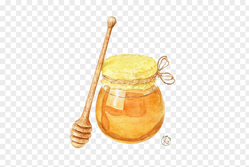 Honey Drawing Watercolor Painting Illustration PNG