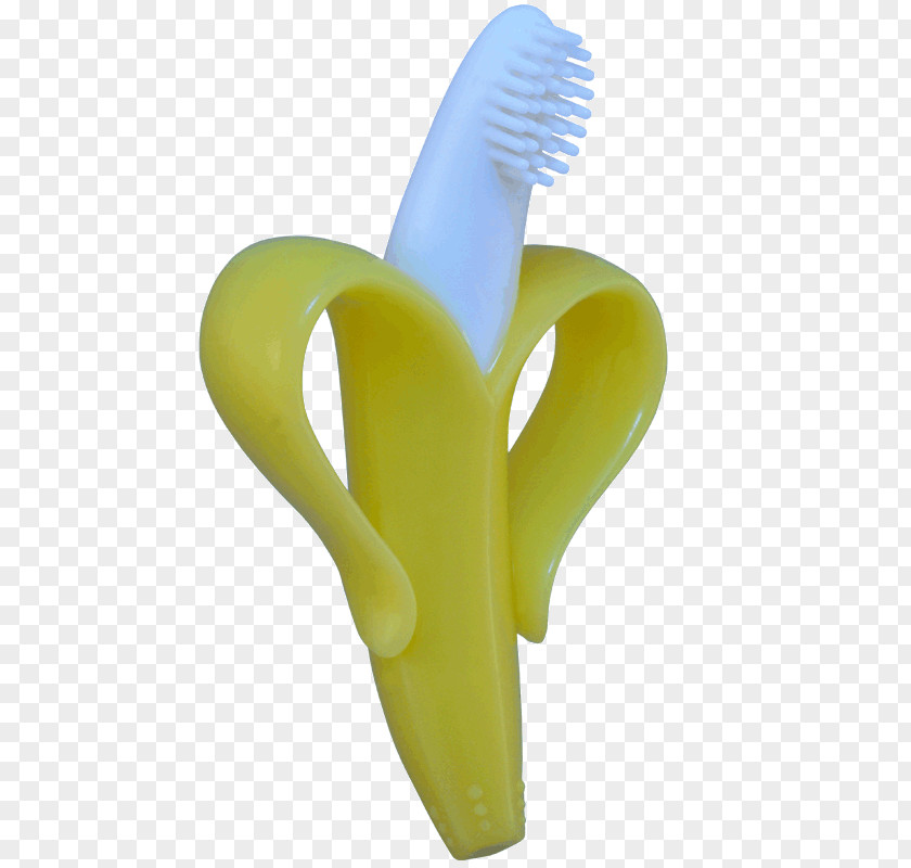 Toothbrush Teething Infant Tooth Brushing Toddler PNG