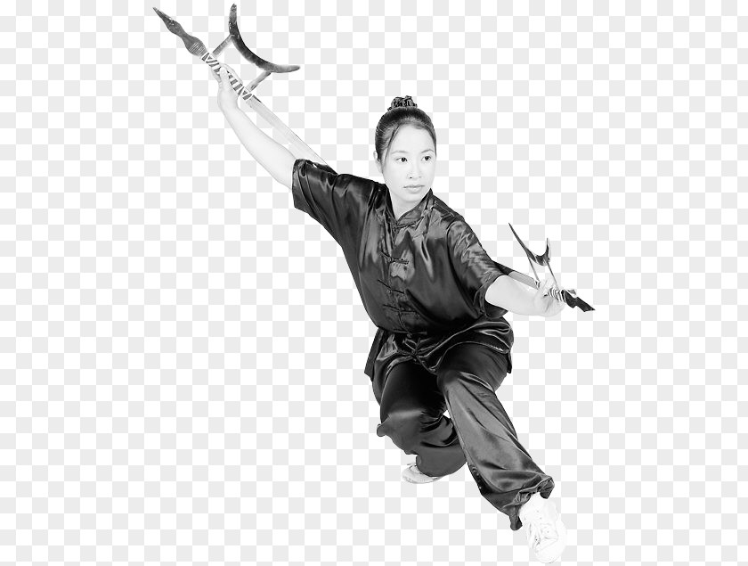 Weapon Baguazhang PNG