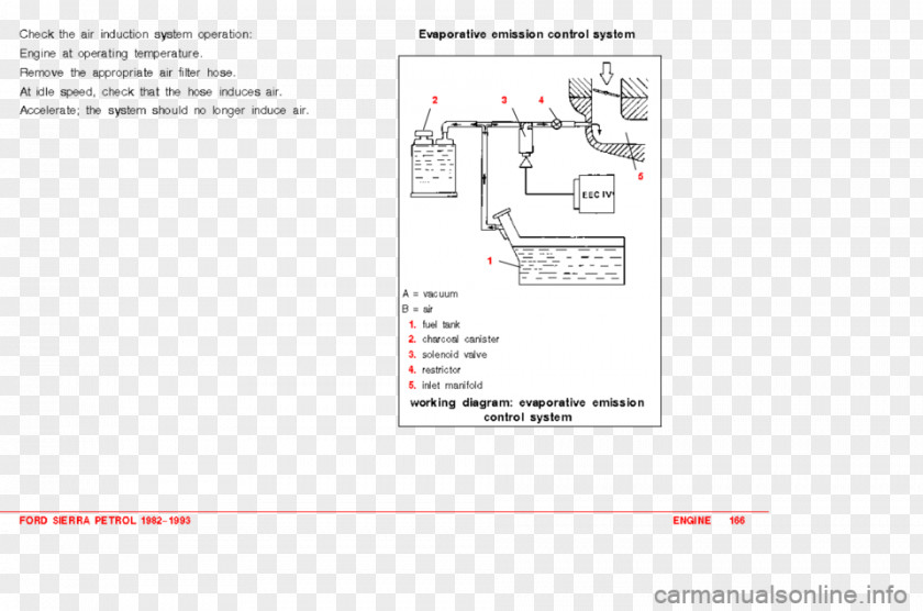 Design Document Brand PNG